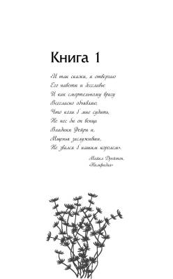 Злой король (#2) с доставкой по Минску от 70 рублей бесплатно!